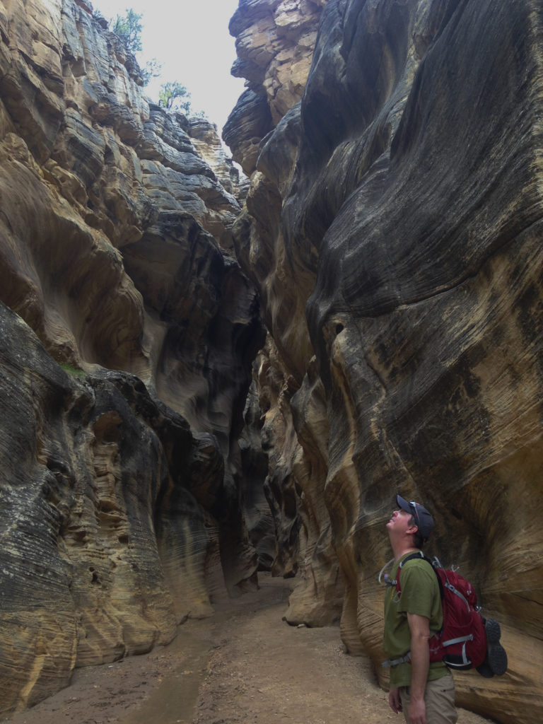 Mad looking up at the walls of Willis Canyon, Utah.